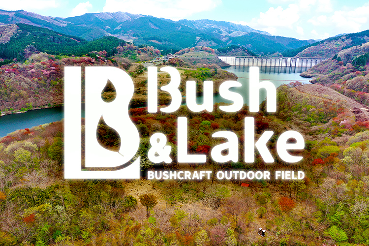Bush & Lake thumbnail